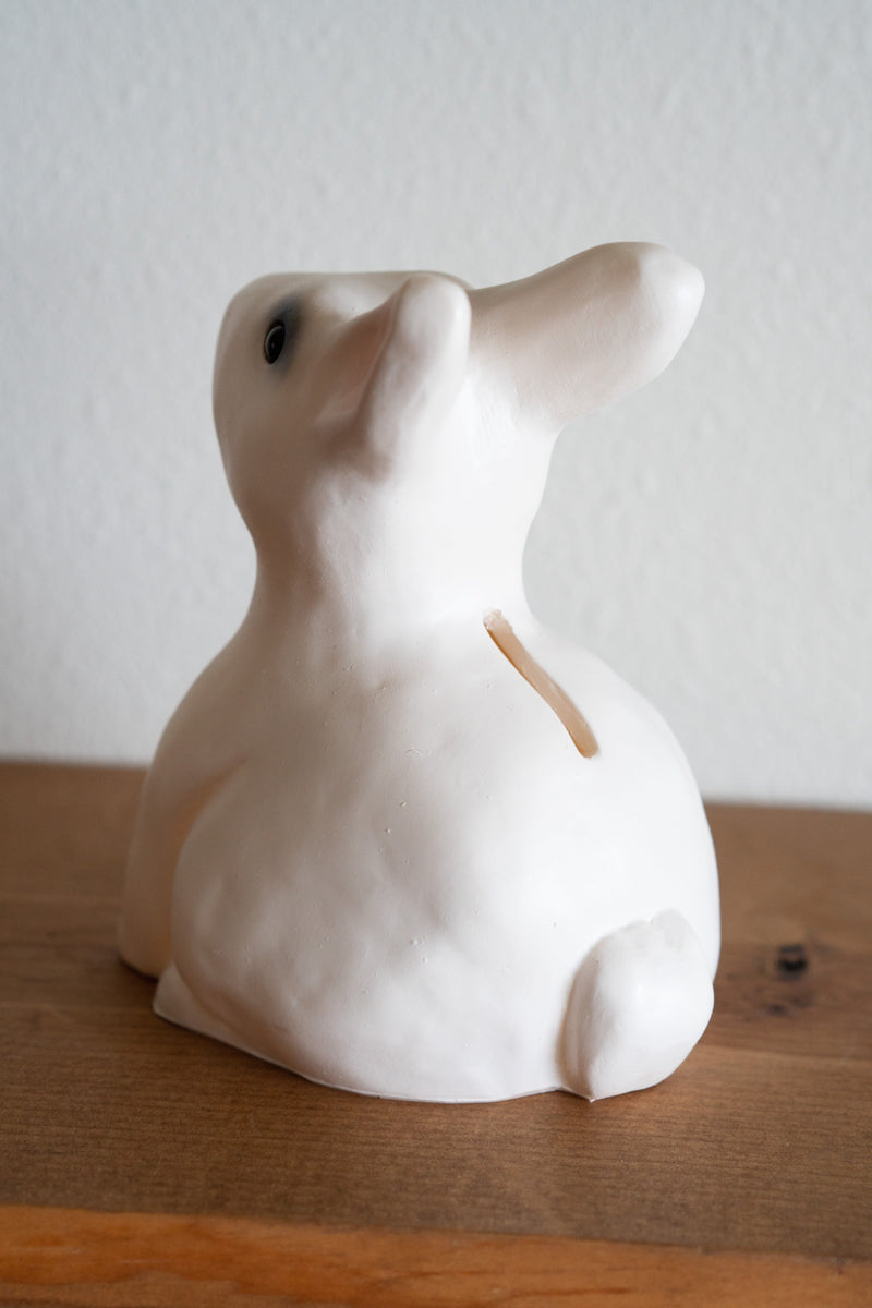 Rabbit Savings Bank