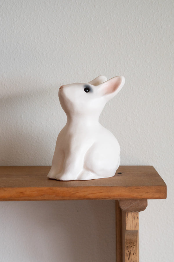 Rabbit Savings Bank